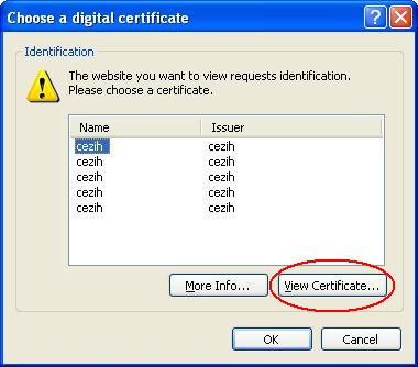 odabir_certifikata.JPG